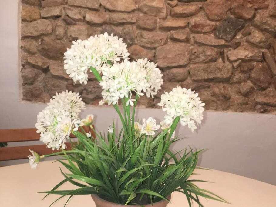 Apartament De La Susanna Old Town Mezzanine تاراغونا المظهر الخارجي الصورة